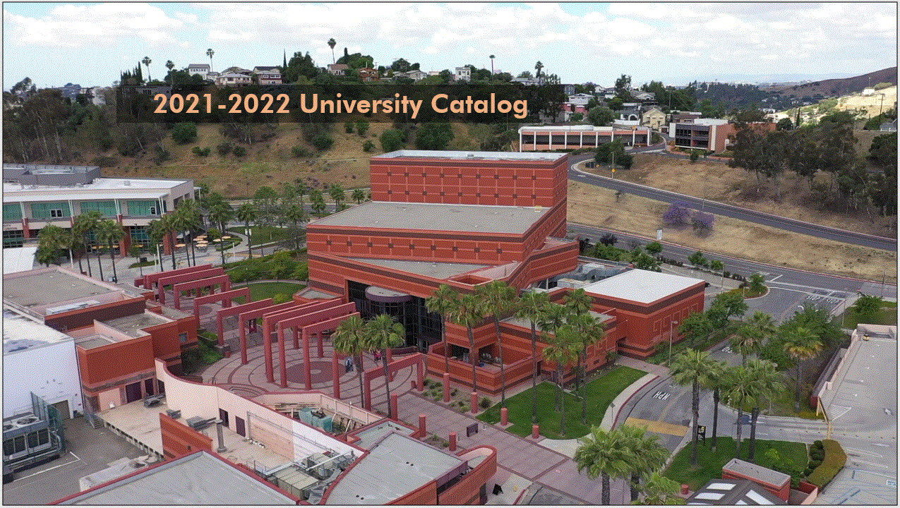 california state university los angeles essay requirements